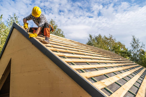 Best Flat Roof Repair Services  in Roy, UT