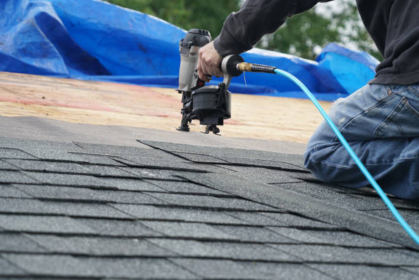 Best Roof Gutter Cleaning  in Roy, UT